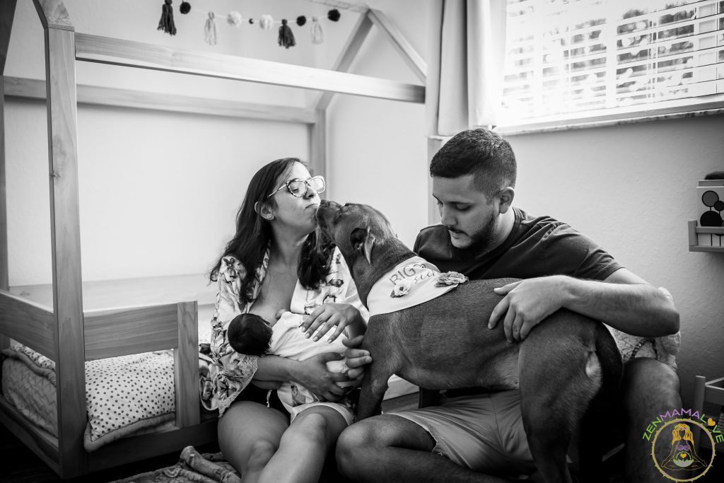 dogs at home with newborn nursery